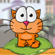 Cat Around the World