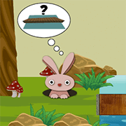 solve problems with unit fractions